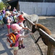 Výlet na dětský ranč v Hlučíně