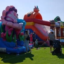 IMG-20250615-WA0088