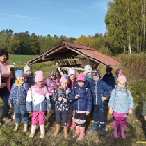 Podzimní les a jeho obyvatelé