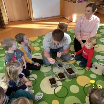 Pavoučí návštěva