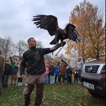 Sokolnické vystoupení – setkání s dravci