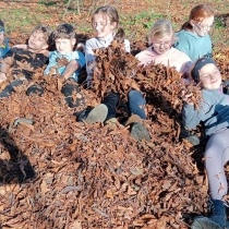 d038d5d5-051c-4508-b5b4-9727373135f6