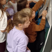 WhatsApp Image 2026-03-24 at 19.07.27