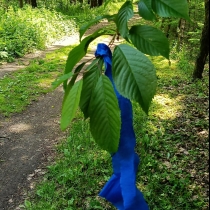 22.5. BAŽINA