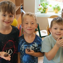 a080f7e6-a5db-4fcc-a32b-6c2f9677d09a