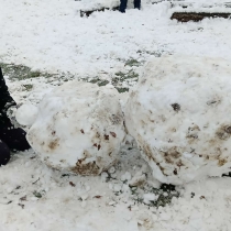 2ba854f5-0647-4142-a848-eb9930af083c