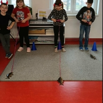 c8b2d264-c5e2-45d4-afa9-5df93abce542