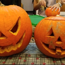 13.10. DÝŃOBRANÍ